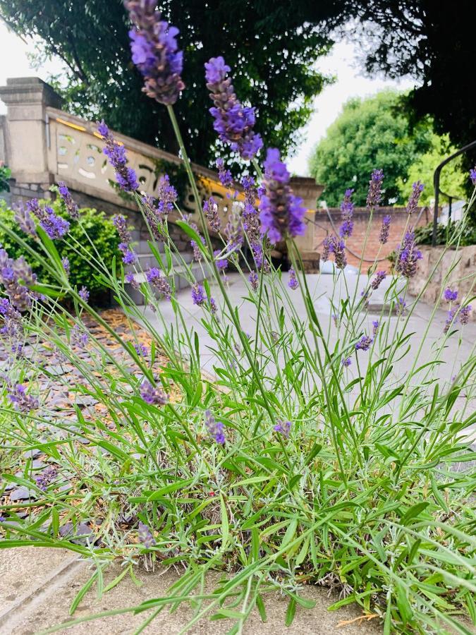 Ferndale Mews Bed & Breakfast Bristol Bagian luar foto